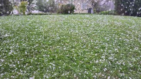 Toča je pobelila tudi Grobelno